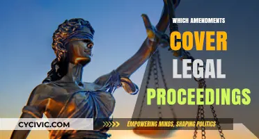 Legal Proceedings: Amendments for Fair Trials