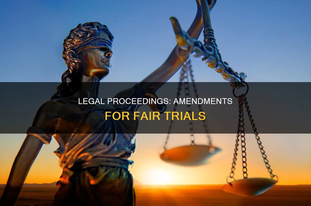 which amendments cover legal proceedings
