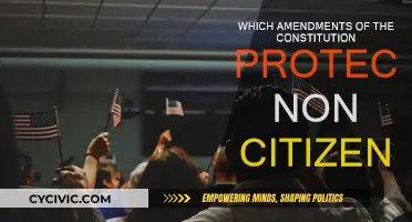 Amendments Protecting Non-Citizens' Rights: An Overview