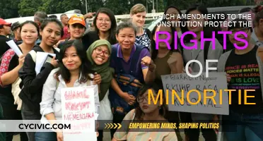 Amendments Protecting Rights of Minorities: Understanding Constitutional Safeguards
