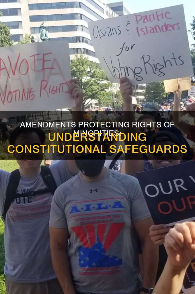 which amendments to the constitution protect the rights of minorities