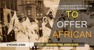 Amendments Offering African Americans Constitutional Rights