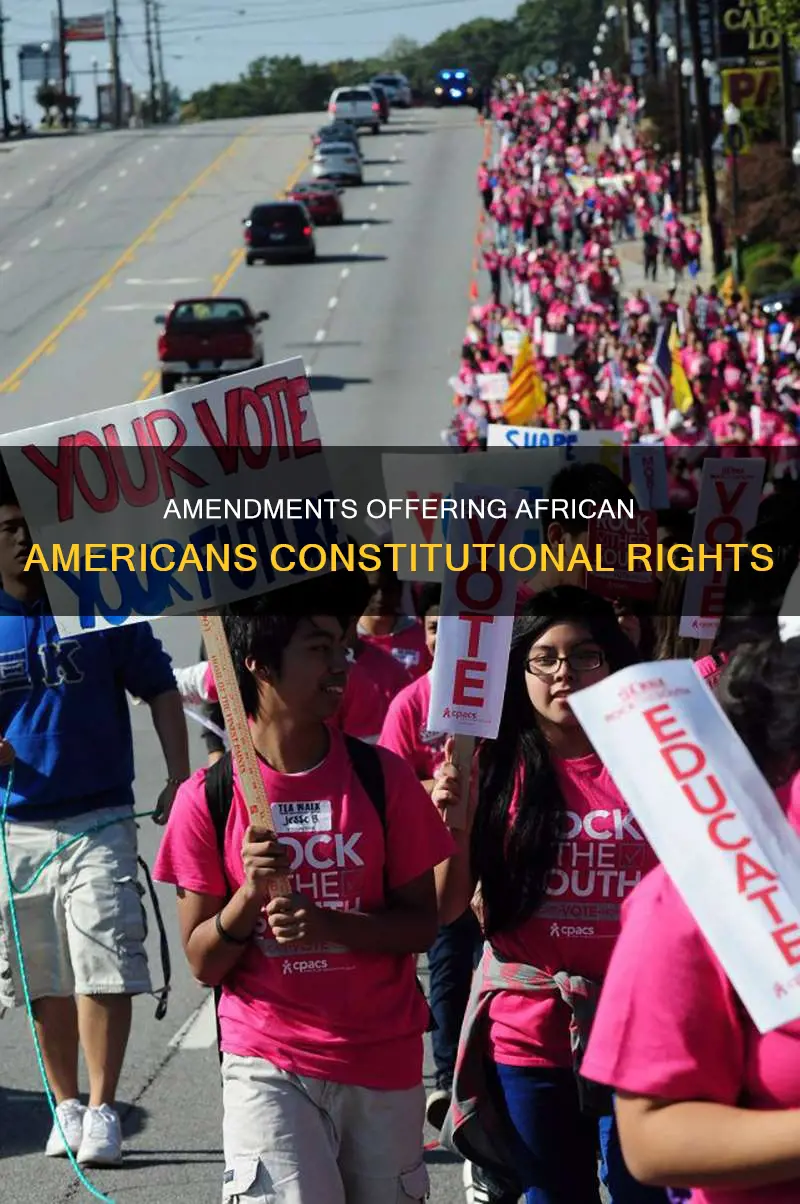 which amendments to the us constitution seemed to offer african