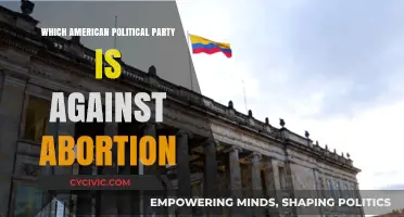 Which American Political Party Opposes Abortion Rights? A Detailed Analysis