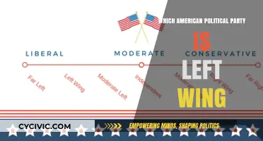 Understanding Left-Wing Politics: Which American Party Fits the Bill?