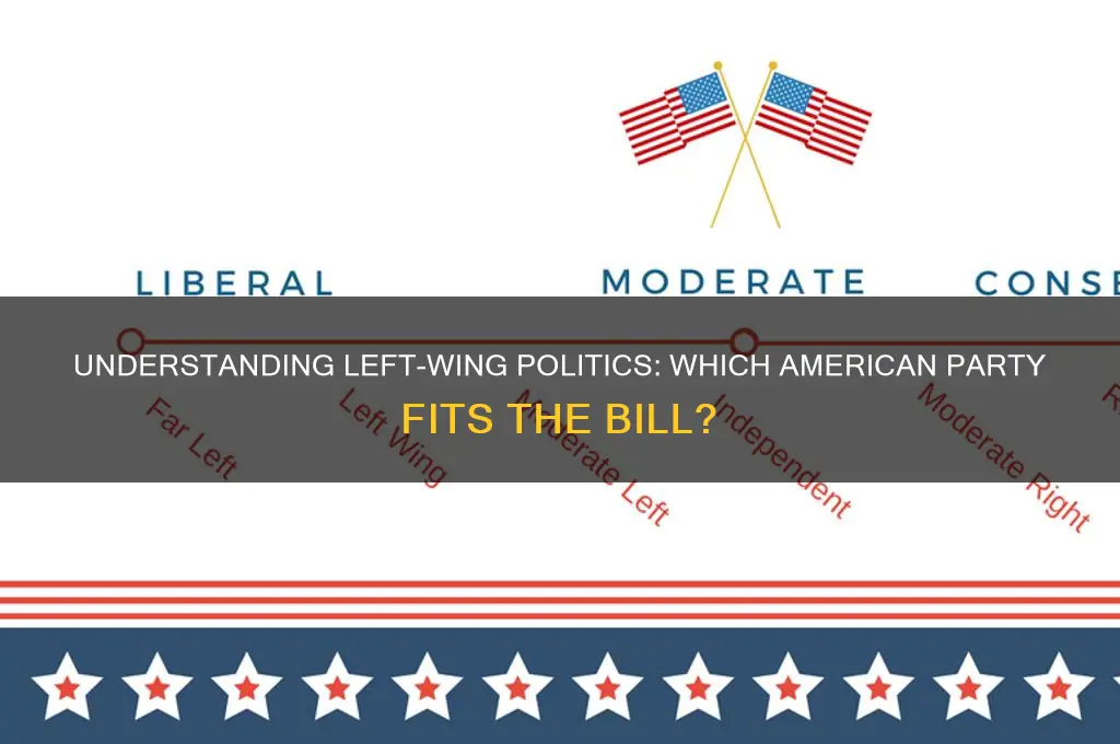 which american political party is left wing