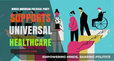 Which U.S. Political Party Advocates for Universal Healthcare?
