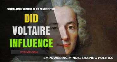 Voltaire's Influence on the US Constitution's Amendments