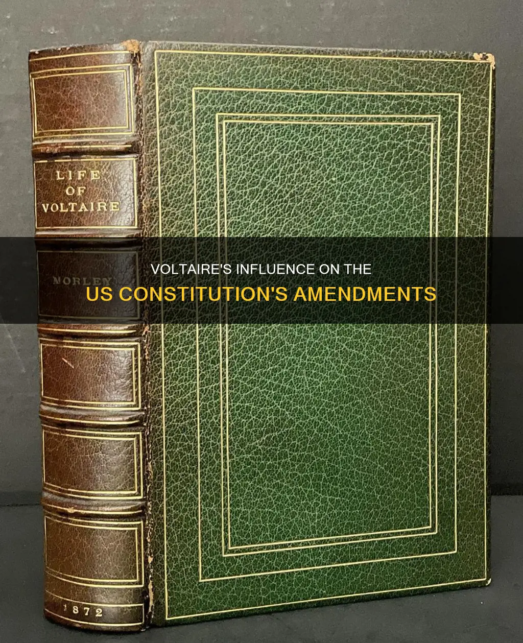 which ammendment to us constitution did voltaire influence