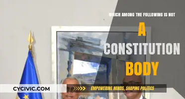 Explore the Non-Constitutional Bodies: Which One is Missing?