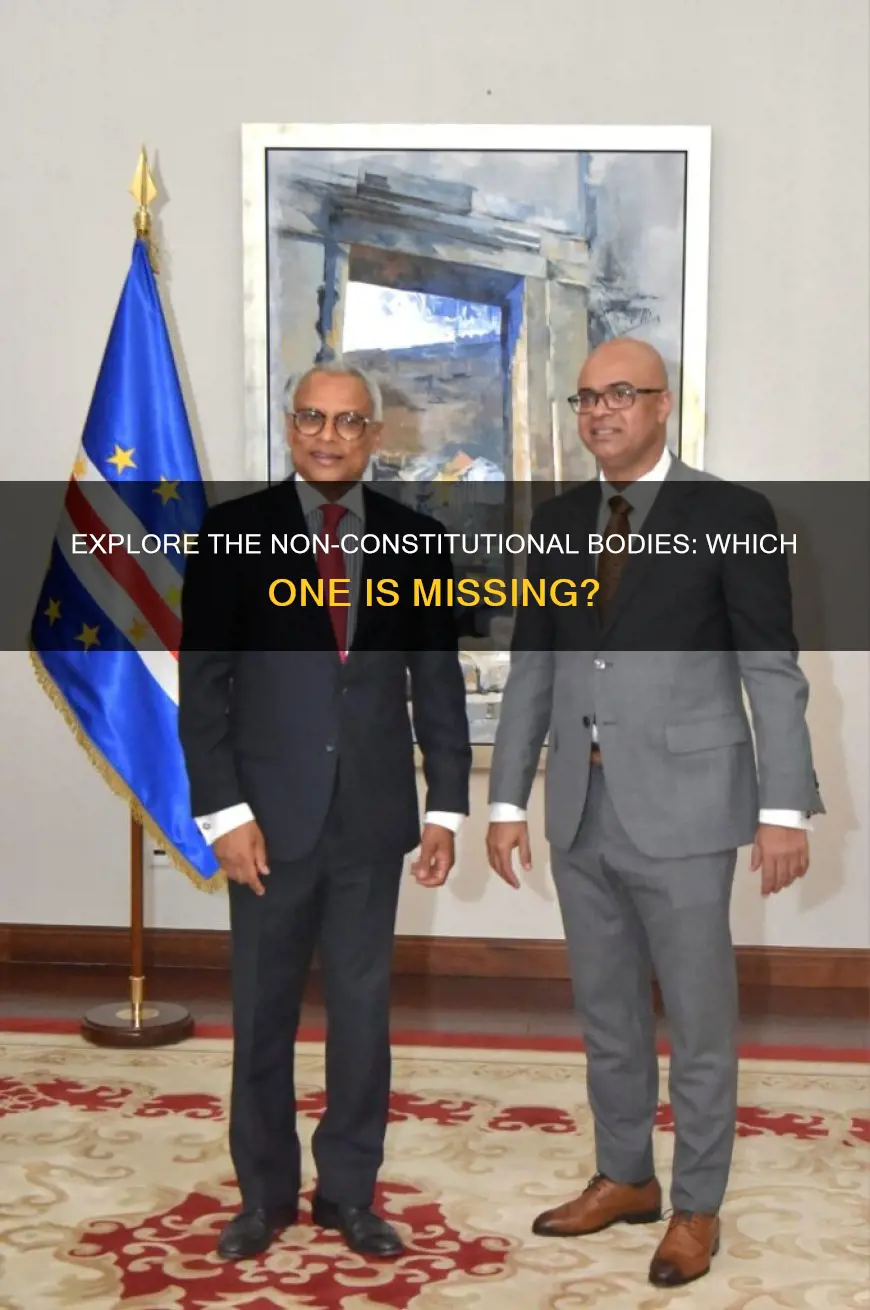 which among the following is not a constitutional body