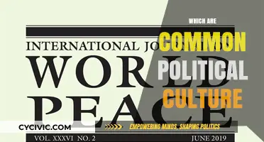 Exploring Common Political Cultures: Beliefs, Values, and Practices Shaping Societies