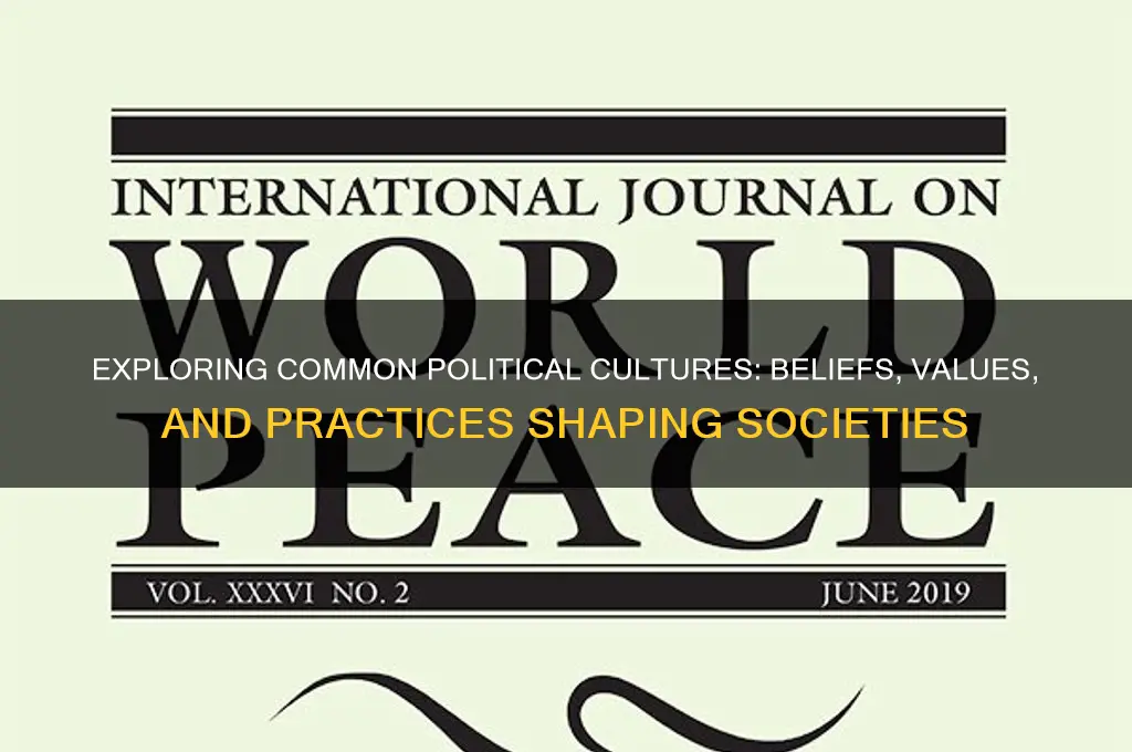 which are common political culture