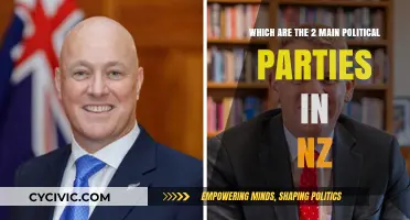 Exploring New Zealand's Dominant Political Parties: Labour vs National