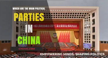 Understanding China's Political Landscape: Key Parties and Their Roles