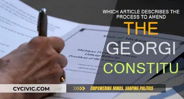Amending the Georgia Constitution: A Step-by-Step Guide