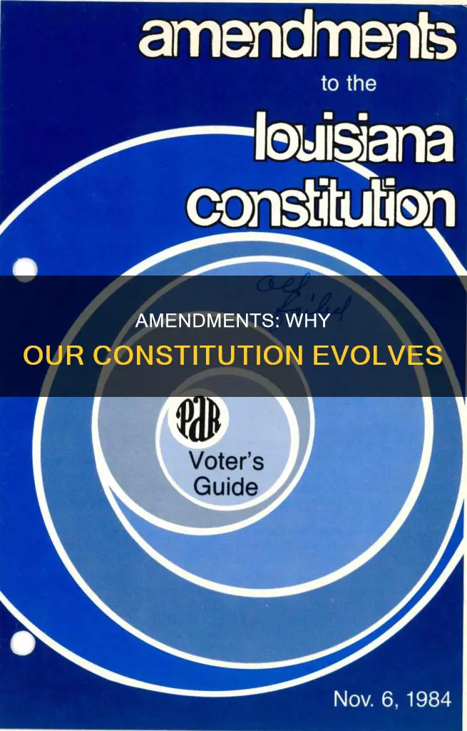 which article explains why amendments are made to the constitution