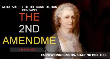 The Constitution's Second Amendment: What Article?