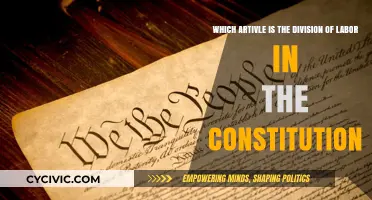Division of Labor: Constitutional Framework