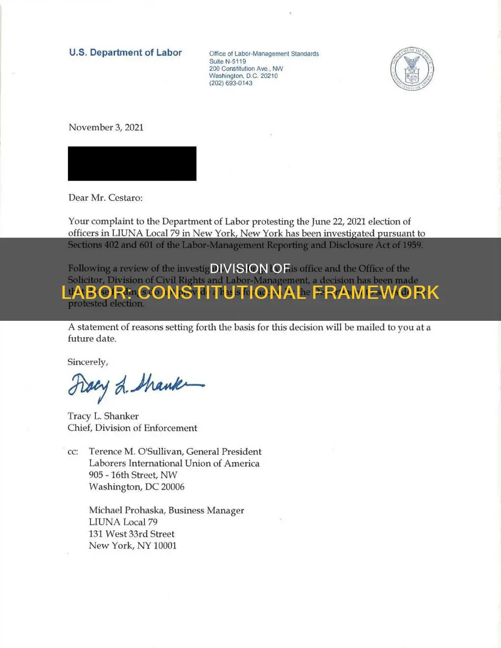 which artivle is the division of labor in the constitution