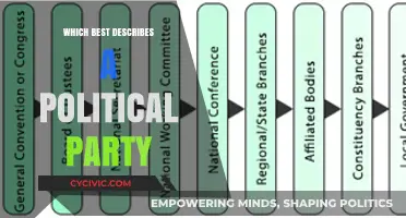 Understanding Political Parties: Core Functions, Ideologies, and Societal Roles