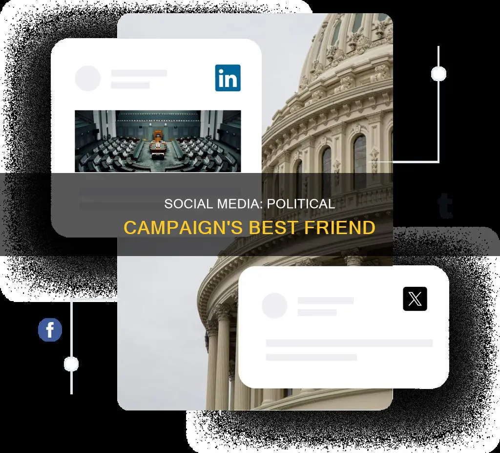 which best describes how social networking sites help political campaigns