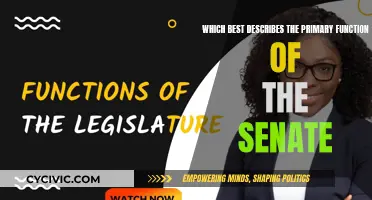 The Senate's Core Function: Representation and Checks