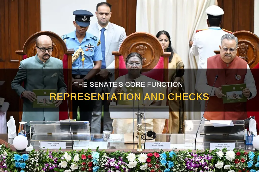 which best describes the primary function of the senate