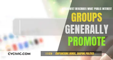 How Public Interest Groups Shape Society's Future