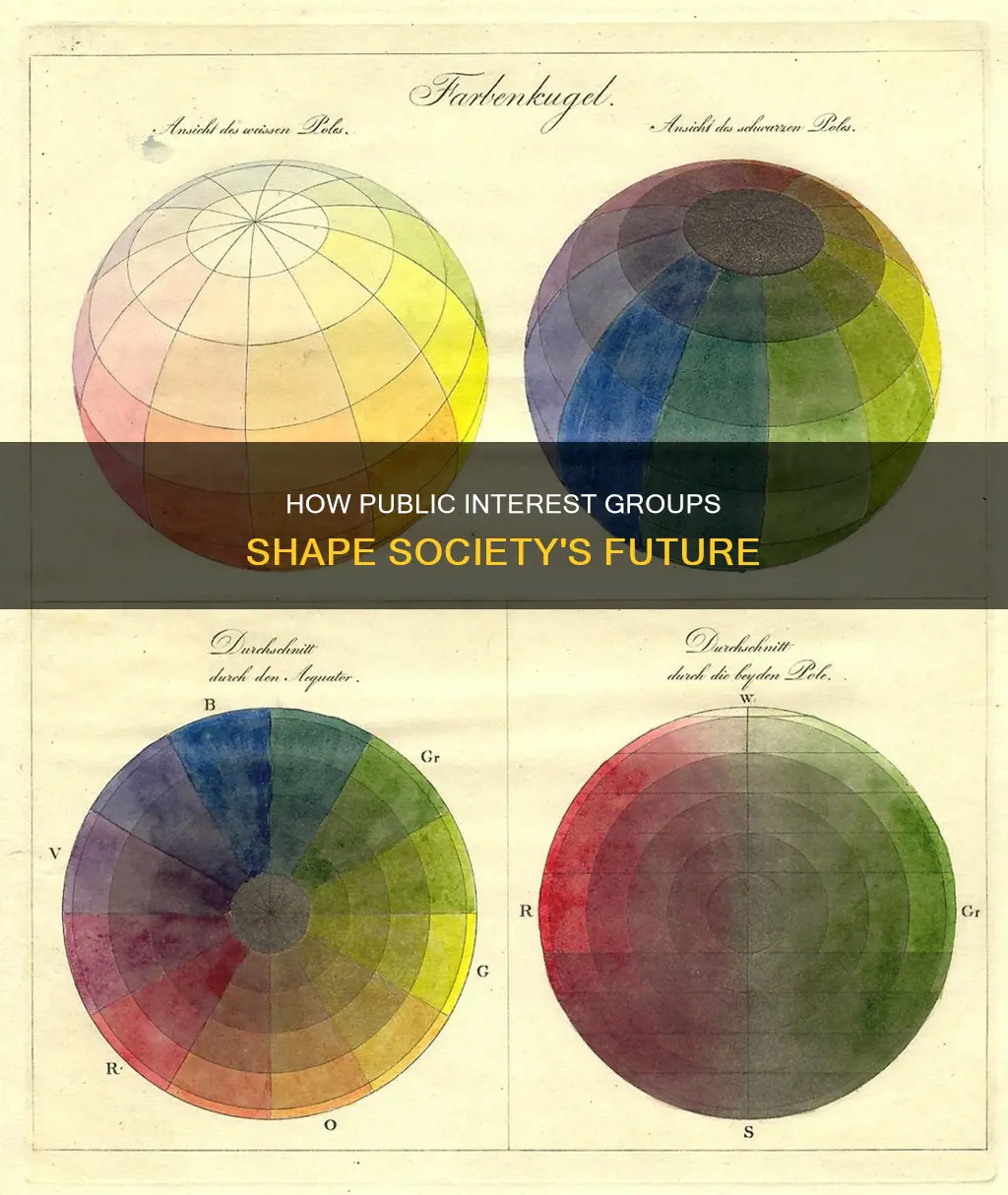 which best describes what public interest groups generally promote