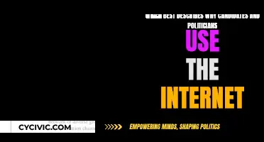 How the Internet Transforms Political Campaigns and Elections