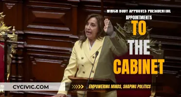 Who Confirms Presidential Cabinet Appointments?