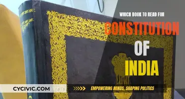 Understanding India's Constitution: A Book Guide