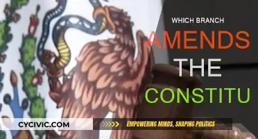 Amending the Constitution: The Legislative Branch's Role