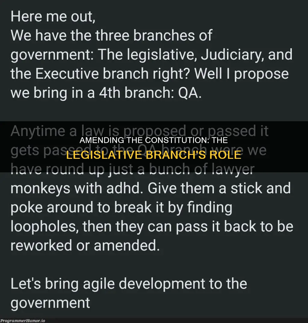 which branch amends the constitution