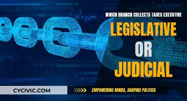 Executive Branch: The Tax Collectors and Their Role