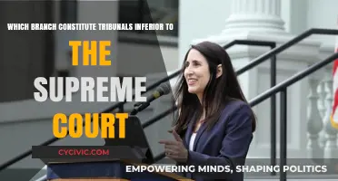 Tribunals: Understanding the Hierarchy Below the Supreme Court