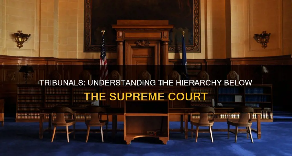 which branch constitute tribunals inferior to the supreme court