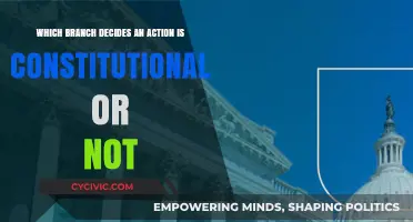 The Judicial Branch: Deciding Constitutionality