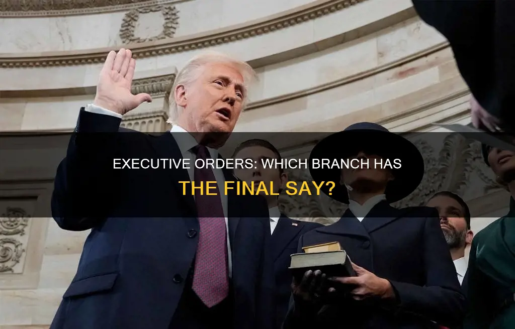 which branch decides if execuitve orders are constitutional