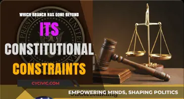 The Executive: Stretching Constitutional Constraints