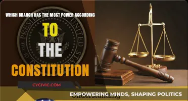 The Constitution's Power Balance: Which Branch Reigns Supreme?