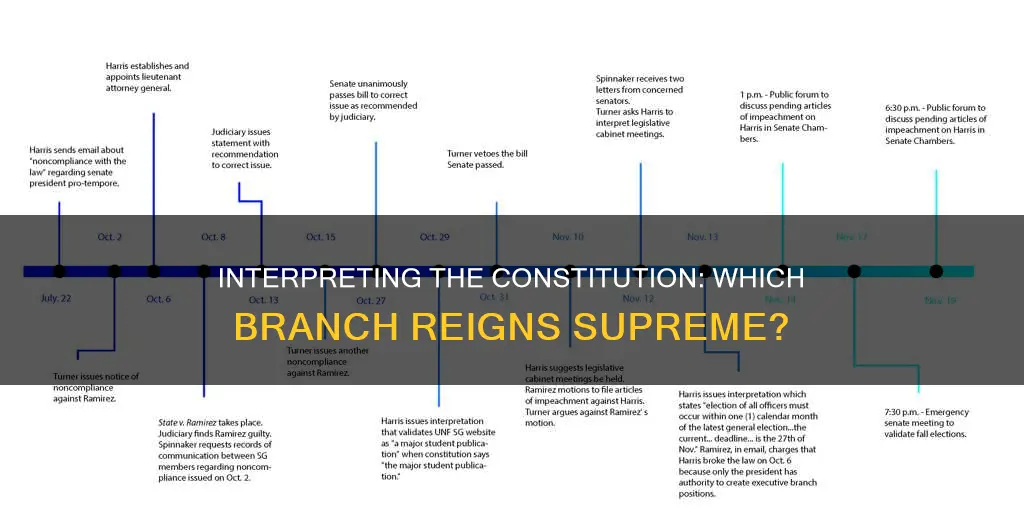 which branch has the power to interpret the constitution