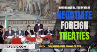 Foreign Treaty Negotiations: Understanding the Executive Branch's Power