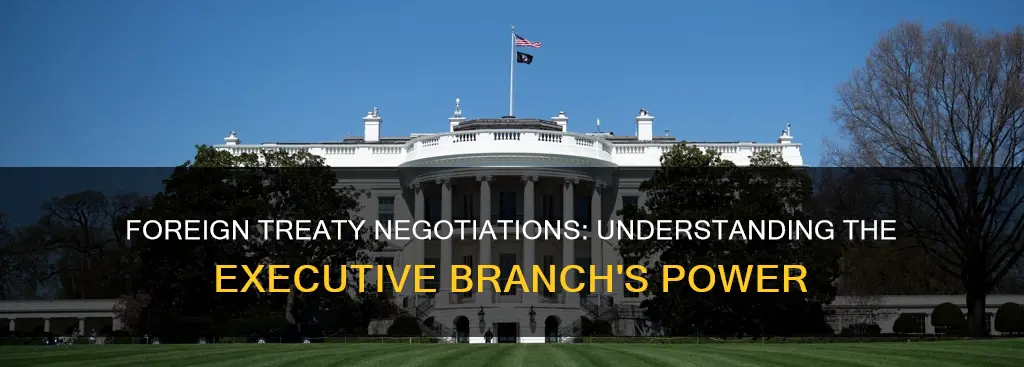 which branch has the power to negotiate foreign treaties