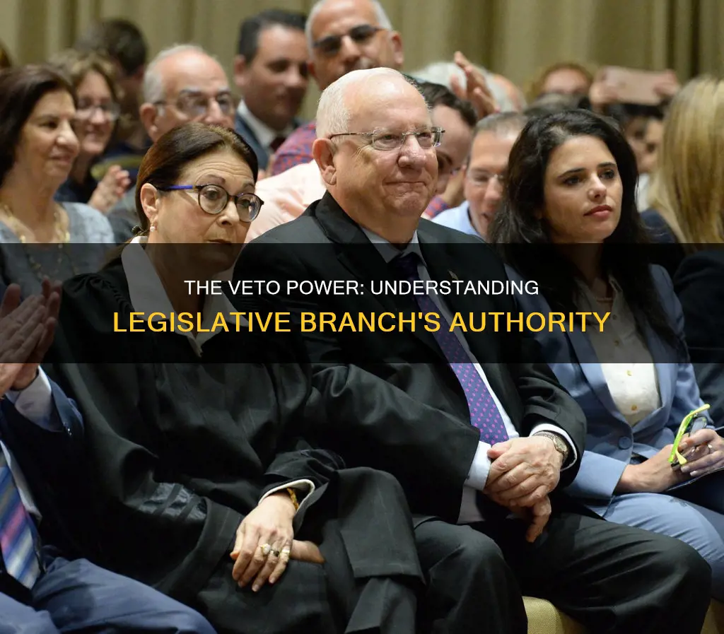 which branch has the power to veto bills