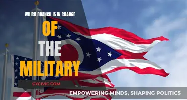 Who Commands the Military? Understanding the Chain of Control