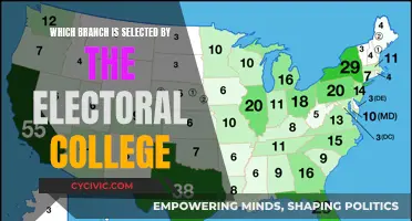 The Electoral College: Branch Selection and Its Impact