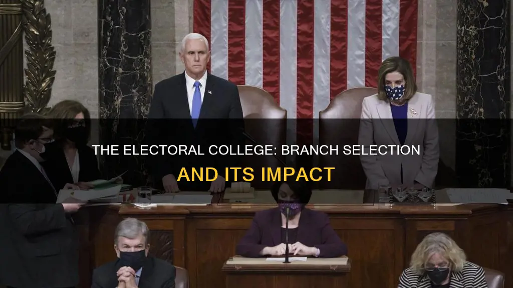 which branch is selected by the electoral college