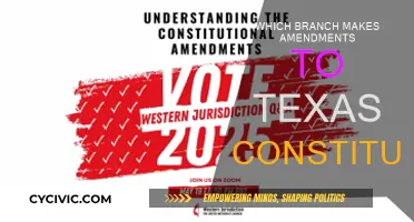 Texas Constitution Amendments: Who's in Charge?
